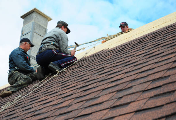 Best Roof Gutter Cleaning  in Montalvin Manor, CA